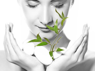 8 Steps to an Eco-friendly Beauty Routine