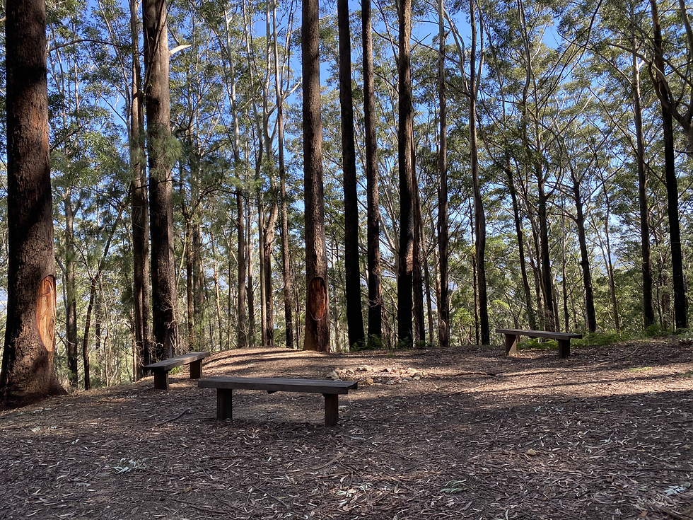 Bulahdelah Mountain Aboriginal Place