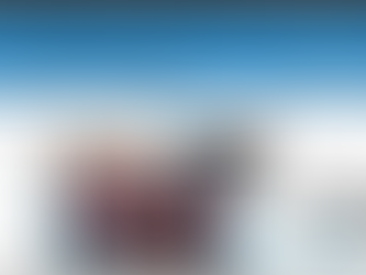 Camerasky Review: Worst Online Shopping Experience Ever