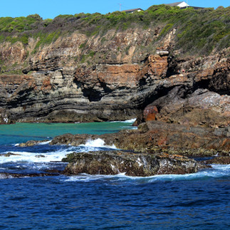 ocean cliffs forster nsw