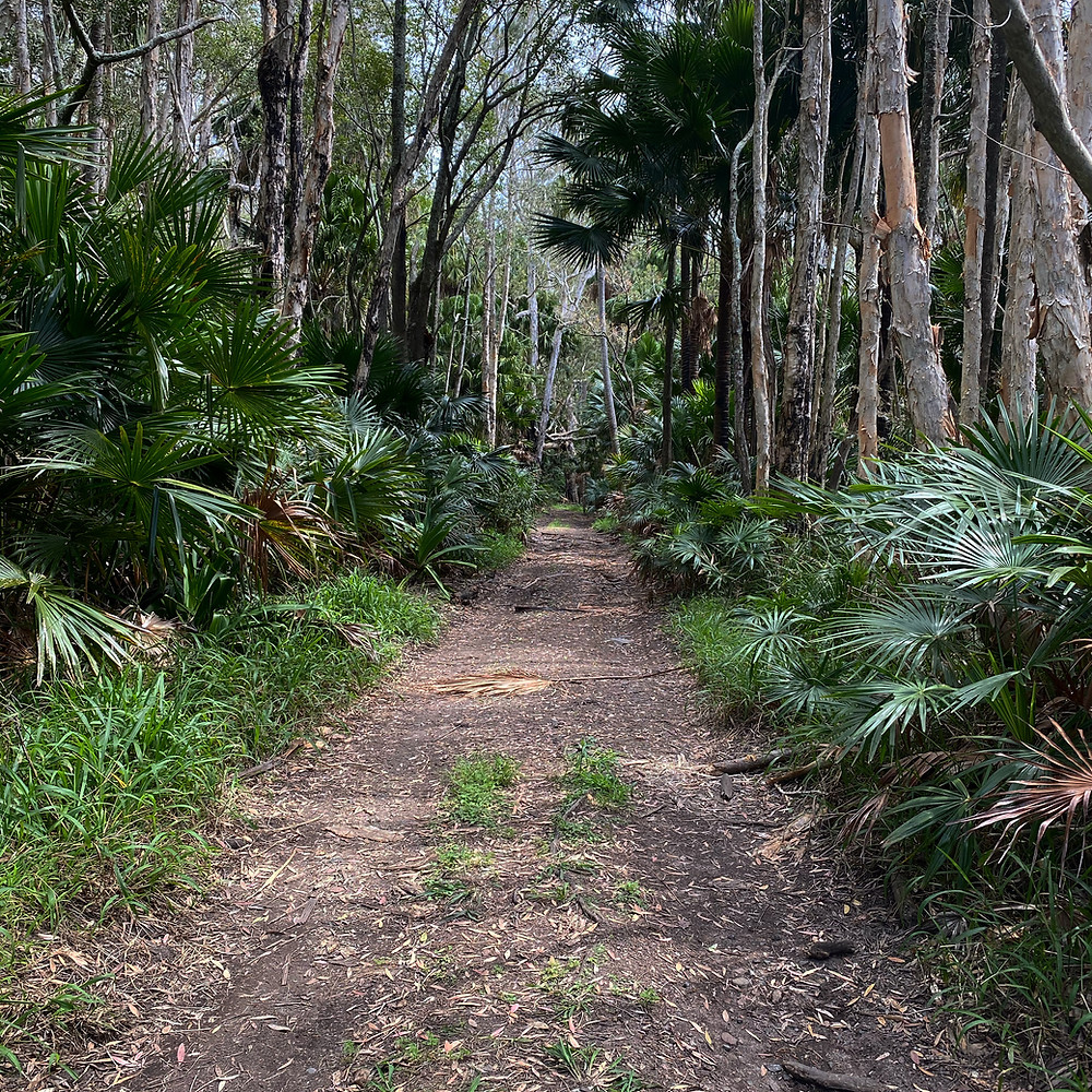 Mungo Brush Camping Ground