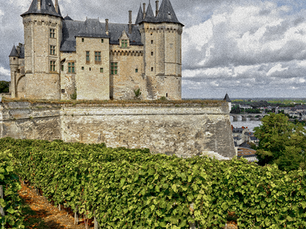 France Wineries
