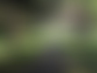 High Tea Anyone? Yelp's Top High Teas in Sydney