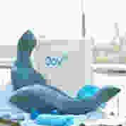 Oov