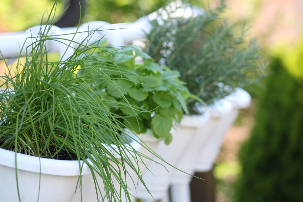 Balcony gardening