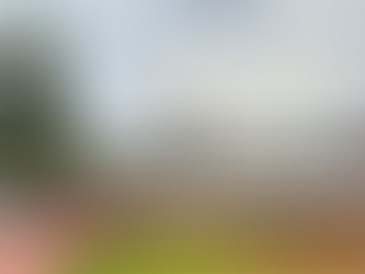 BMX rider on skate park