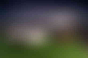 Cadilliac Atura blacktown