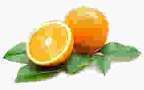 oranges.jpeg