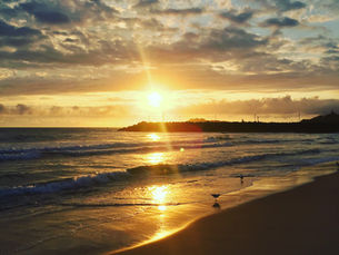 Gorgeous NSW Sunrises