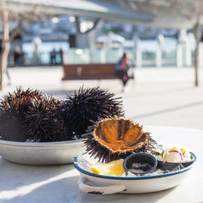 Sea Urchin Back on the Menu at love.fish