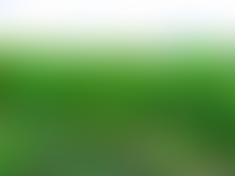 Wander into Westering at Lake George Winery