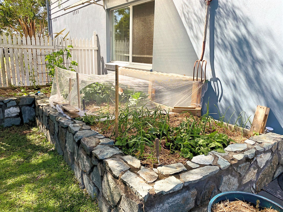 Airbnb with private garden Mid North Coast NSW