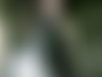 Australian Music Artists: Deb Carr chats to Lianna Rose