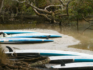 Eco-Friendly Businesses on the NSW North Coast