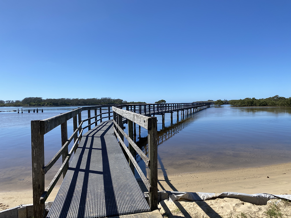 Urguna Board Walk Coffs Coast