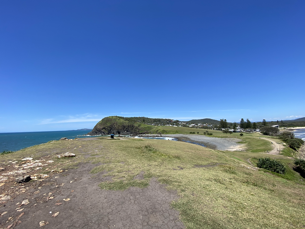 muttonbird Island Coffs Coast