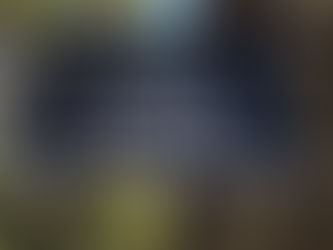 Join The Wog with the Grog at Trattoria La Pesa for Melbourne Cup in Sydney