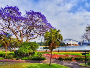 4 Picture-Perfect Places In Sydney