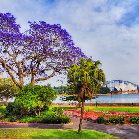 4 Picture-Perfect Places In Sydney