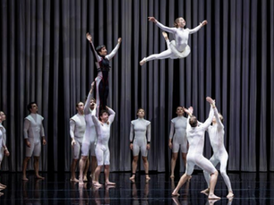 Duckpond - Sydney Opera House