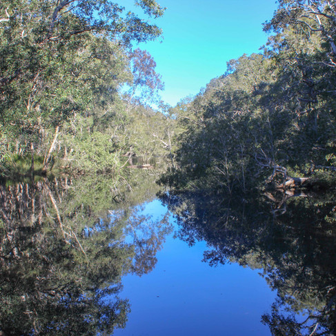 river at saltwater 