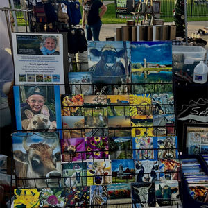 500 Ceramic Tiles to Choose from