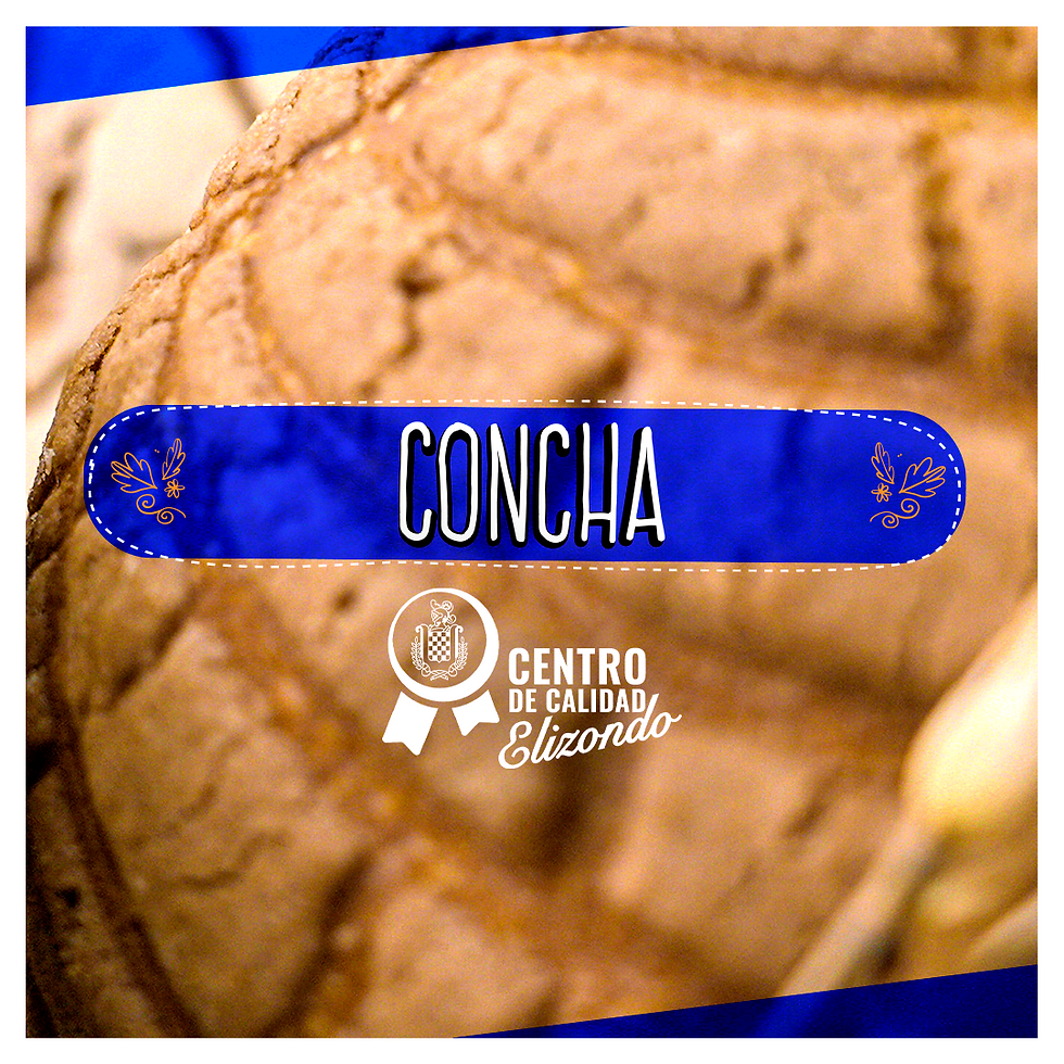 Concha
