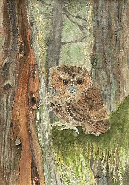 Forest Dweller1070775.JPG