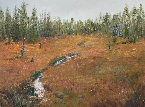 Autumn Muskeg.jpg