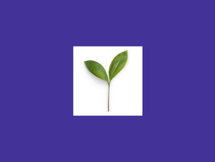 Засновники Mate academy запустили кофаундингову студію Rist Labs та залучили $10 млн