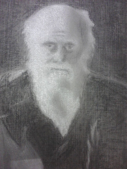 Charcoal Charles Darwin