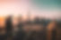 photo-1512453979798-5ea266f8880c.jfif.jpeg