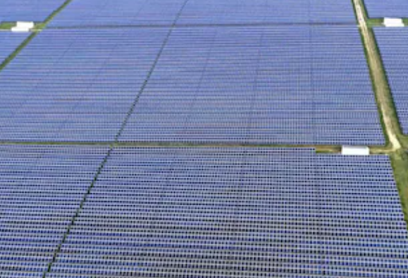 Maximising Solar Farm Efficiency and Ecological Value with Drone Technology