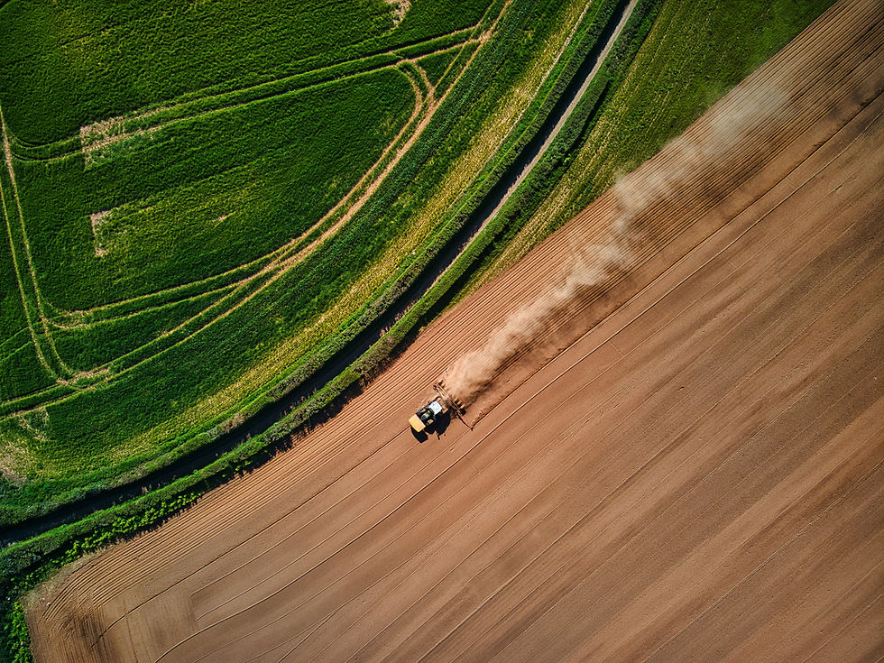 Foto de <a href="https://unsplash.com/es/@redzeppelin?utm_content=creditCopyText&utm_mediu