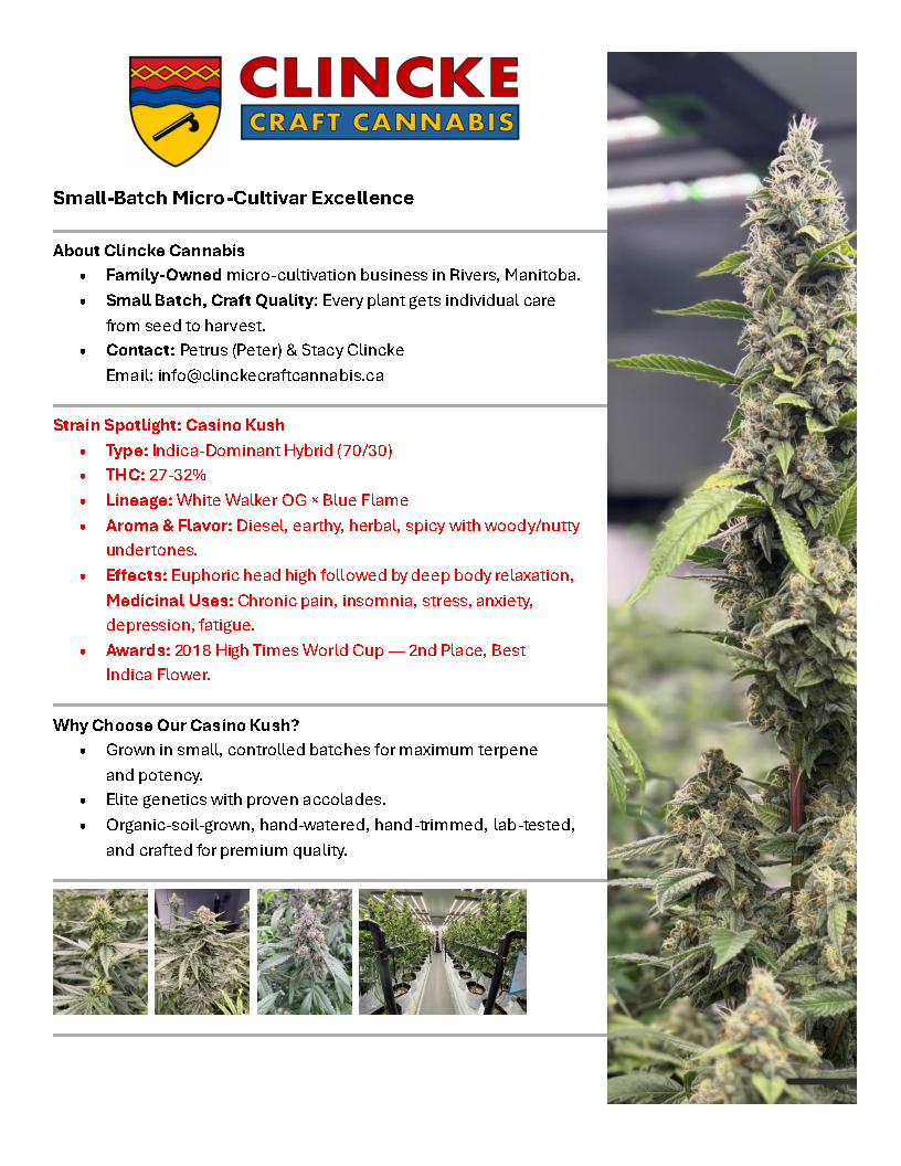 Casino Kush Brochure