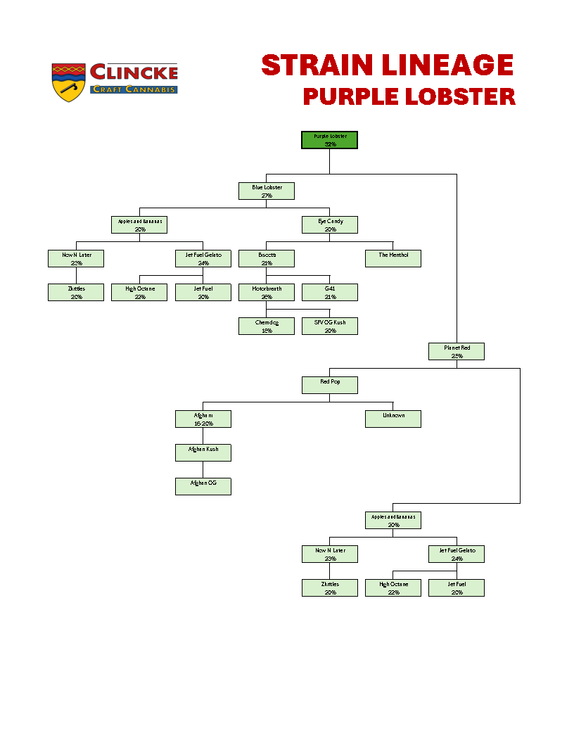 Purple Lobster Tree