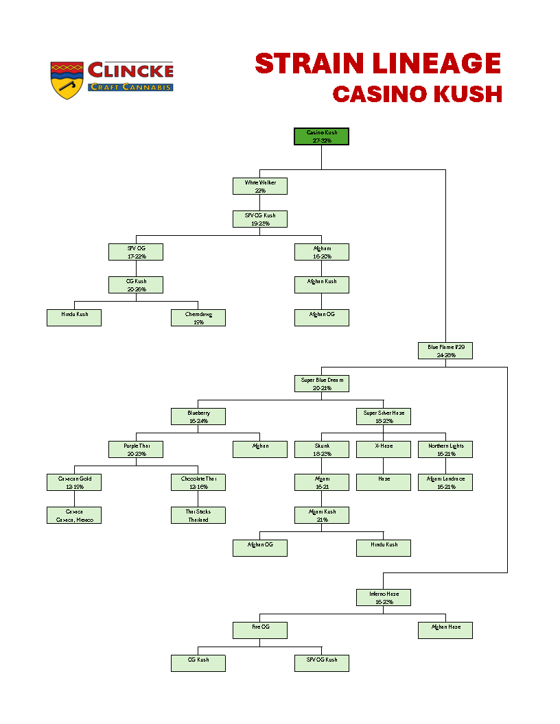Casino Kush Tree