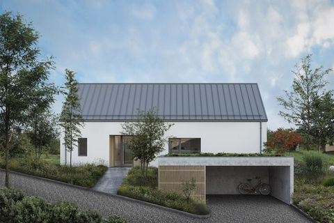 Architektonická studie - návrh rodinného domu ve svahu