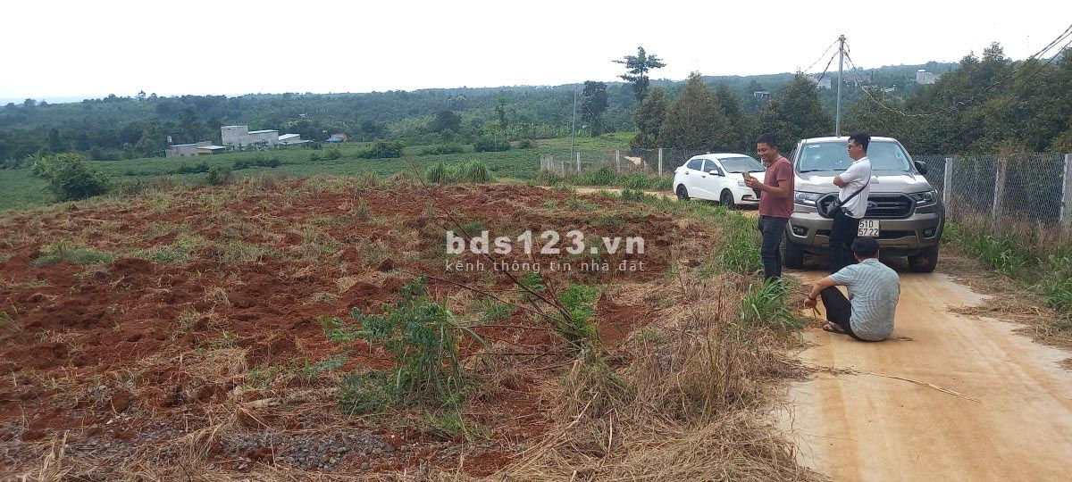 Bán đất tại Đồng Nai, vị trí đẹp, hạ tầng đầy đủ, SHR chính chủ giá 1,85 tỷ