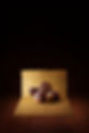 Cover_v2.jpg