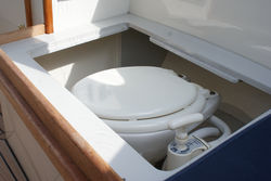 toilet
