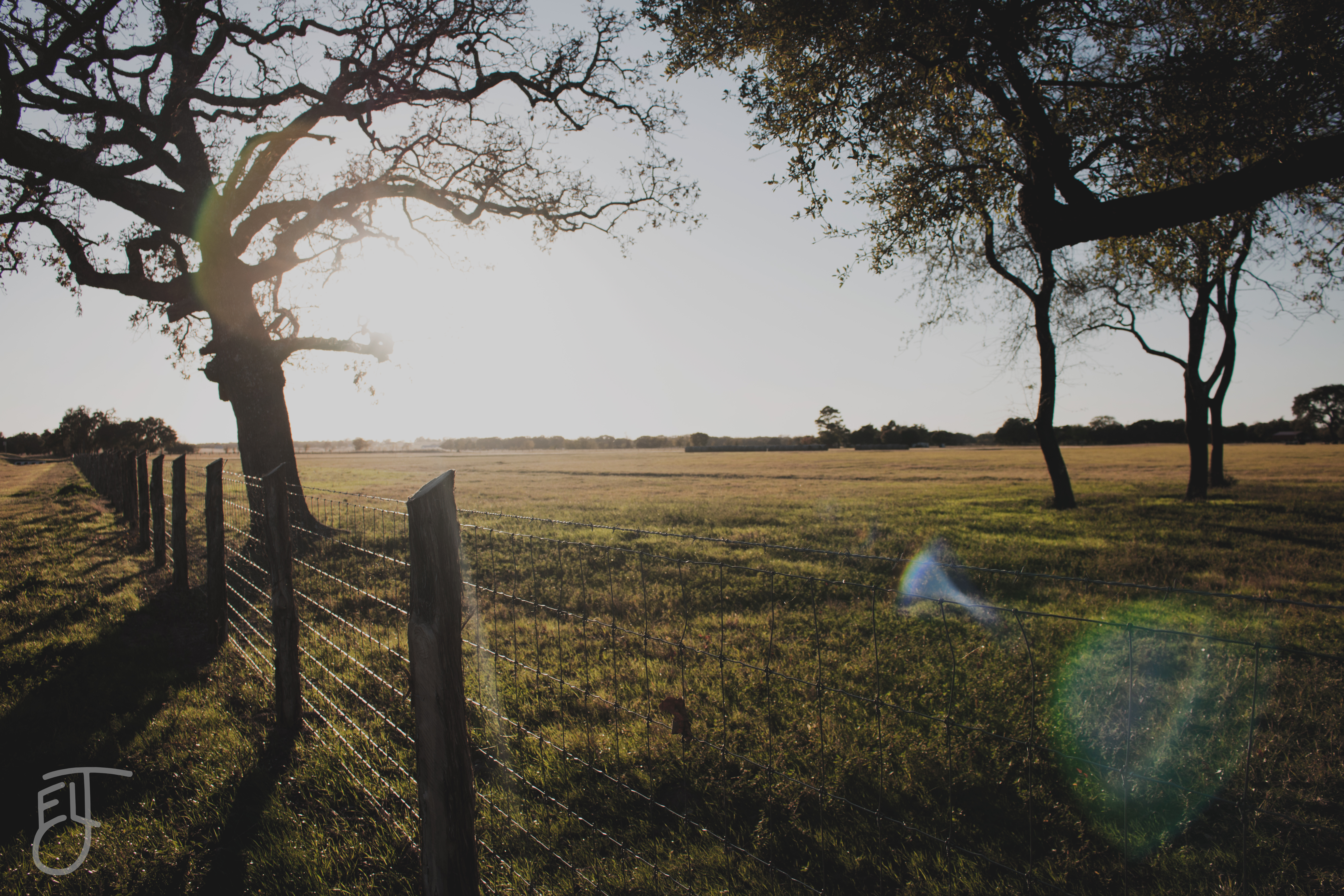 Photography 1