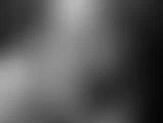 Robert Stone on the Big American Pay Off