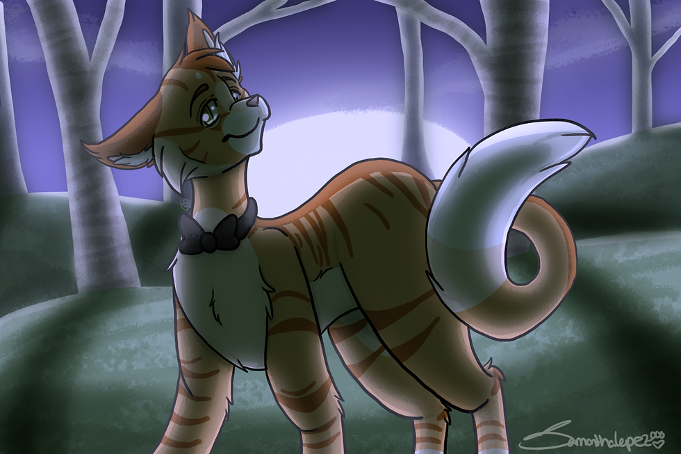 CatColour - Suvi