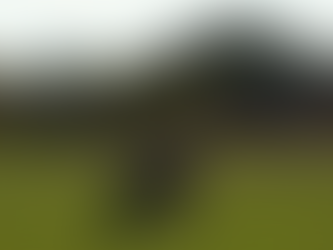 100% biologische zuivel van Weerribben