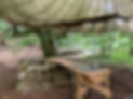 IMG_7009.JPEG