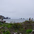 Exploring the Natural Wonders of Olympic National Park