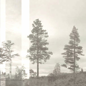 Panorama-Pale-Bluegreen_edited_edited.jp