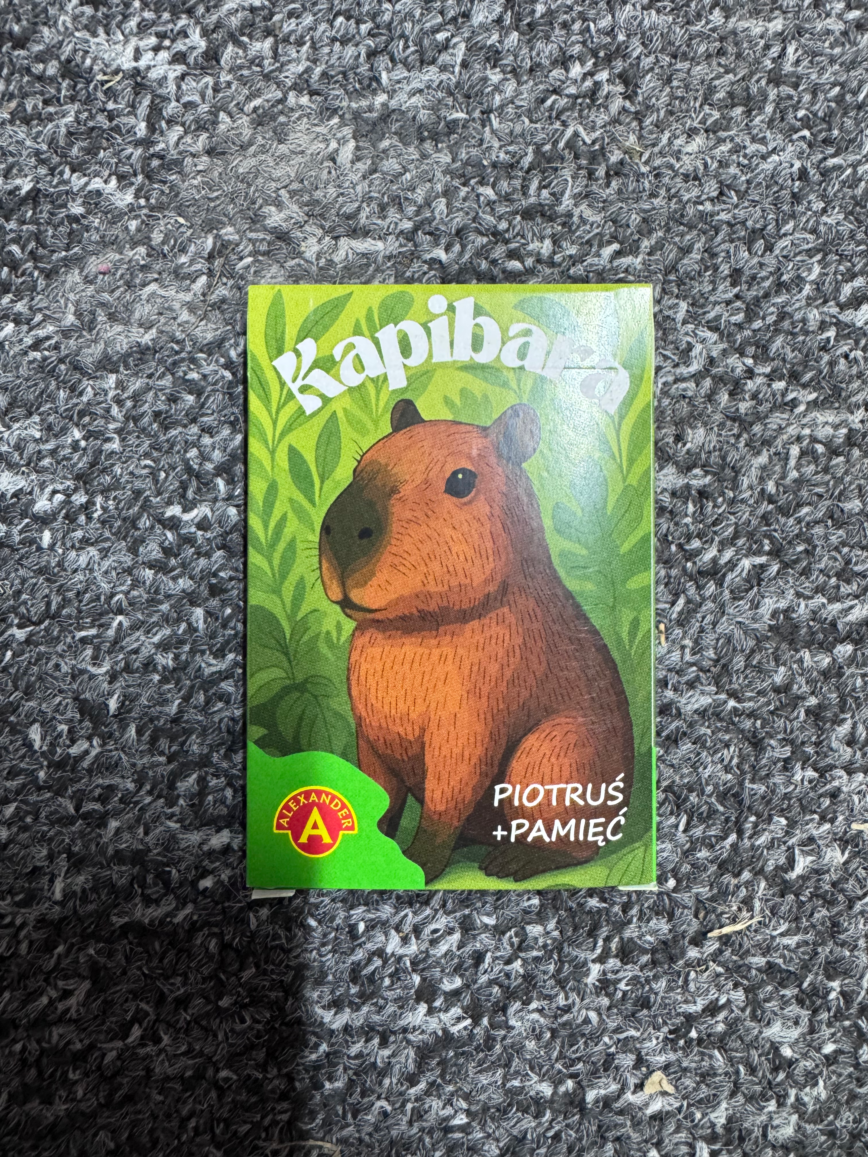 Karty Kapibara Piotruś/Pamięć