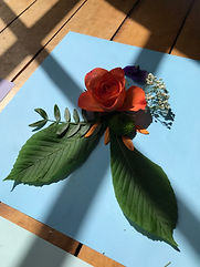 IMG_4325.jpeg
